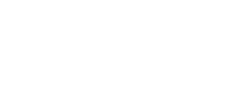 Tampa Bay Wave